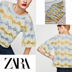 ZARA tulip sleeve oversized eyelet lace multi color  boxy crop top